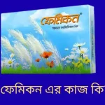 ফেমিকন এর কাজ কি