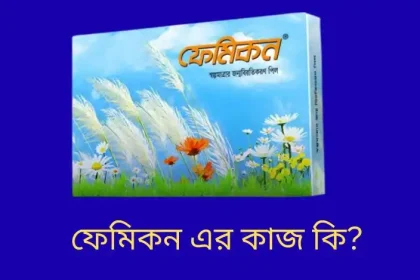 ফেমিকন এর কাজ কি