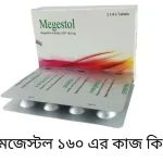 মেজেস্টল ১৬০ এর কাজ কি?