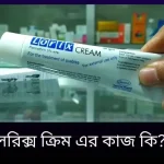 লরিক্স ক্রিম এর কাজ কি