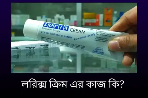 লরিক্স ক্রিম এর কাজ কি